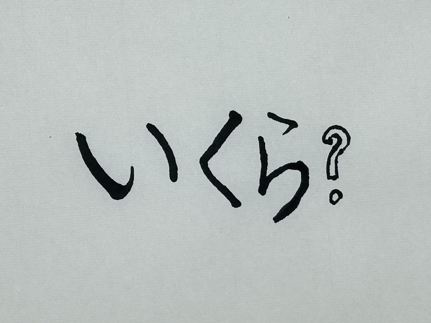 子ども・子育て支援金って結局いくら取られるの？