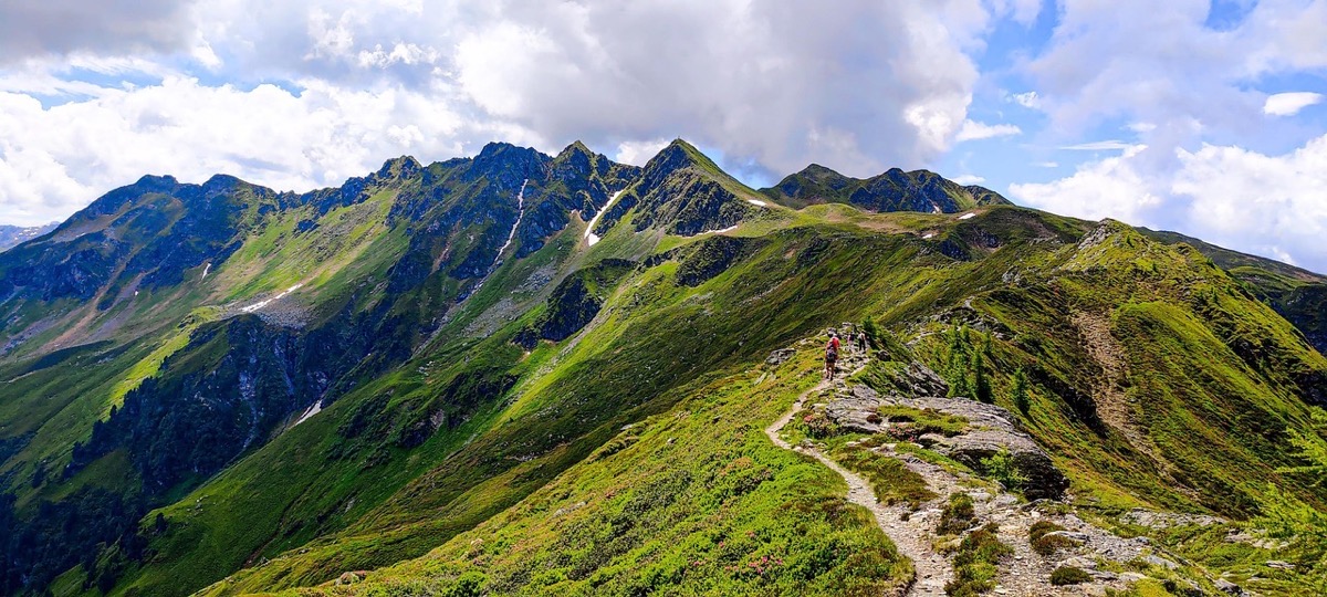 緑の稜線を歩く登山道の写真、一歩ずつ自分の道を進む転職活動をイメージ