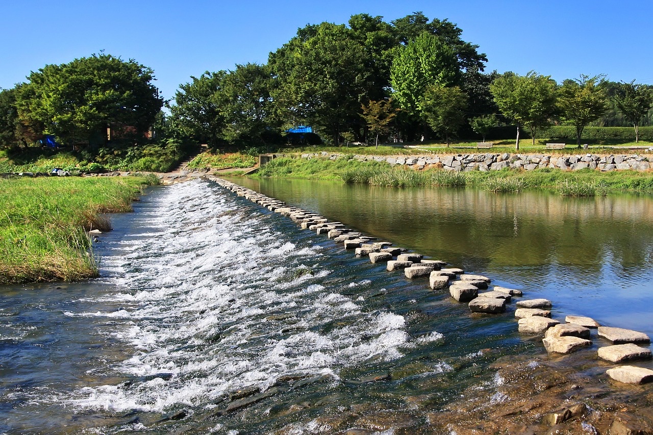 川に並ぶ飛び石の自然風景。一歩ずつ進む転職準備のイメージ